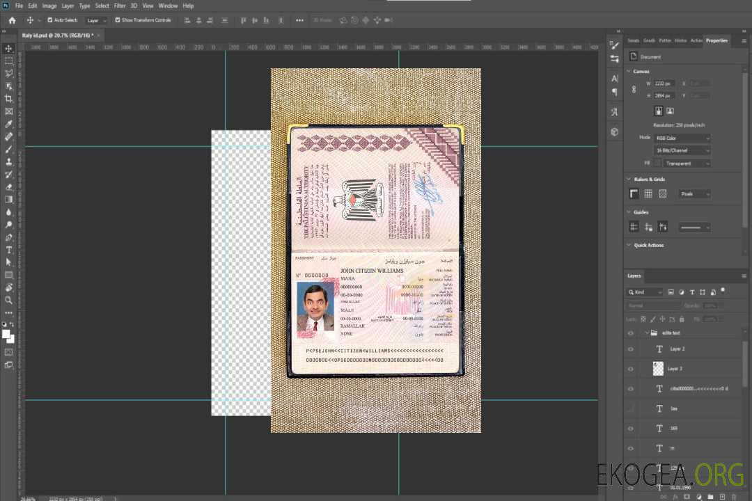 Look photo du passeport palestinien template Look photo du passeport palestinien template